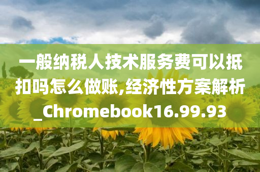 一般纳税人技术服务费可以抵扣吗怎么做账,经济性方案解析_Chromebook16.99.93