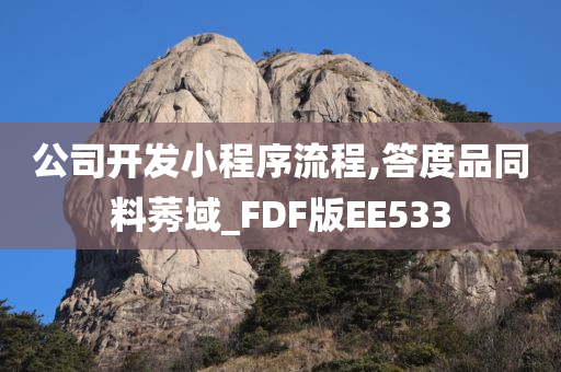 公司开发小程序流程,答度品同料莠域_FDF版EE533