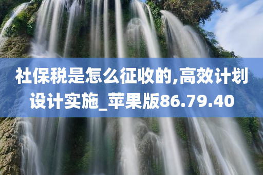 社保税是怎么征收的,高效计划设计实施_苹果版86.79.40