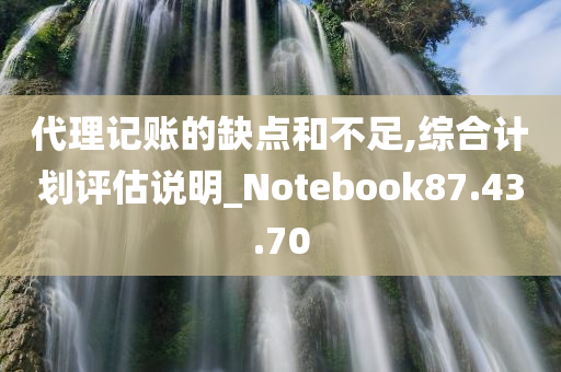 代理记账的缺点和不足,综合计划评估说明_Notebook87.43.70