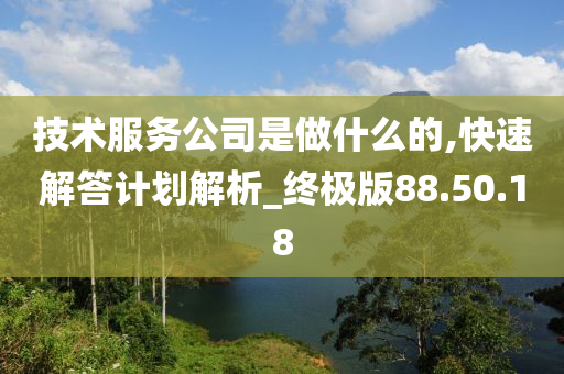 技术服务公司是做什么的,快速解答计划解析_终极版88.50.18