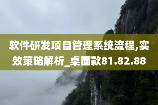 软件研发项目管理系统流程,实效策略解析_桌面款81.82.88