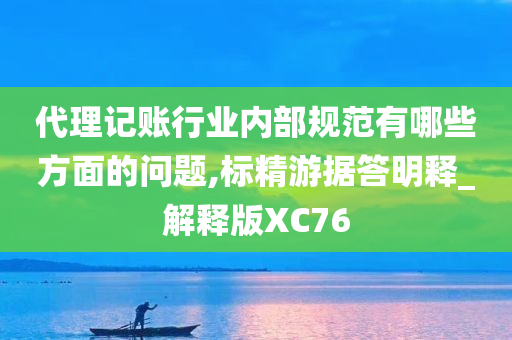 代理记账行业内部规范有哪些方面的问题,标精游据答明释_解释版XC76