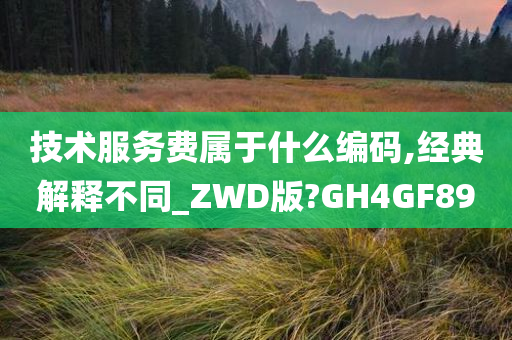 技术服务费属于什么编码,经典解释不同_ZWD版?GH4GF89