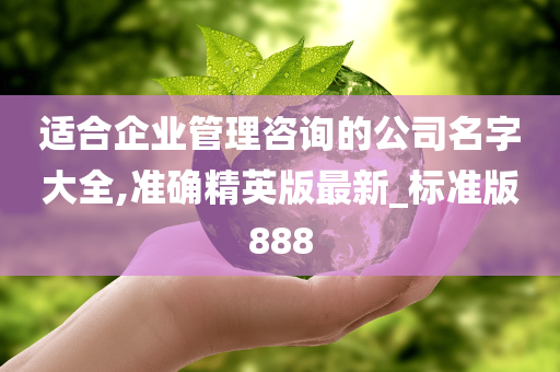 适合企业管理咨询的公司名字大全,准确精英版最新_标准版888