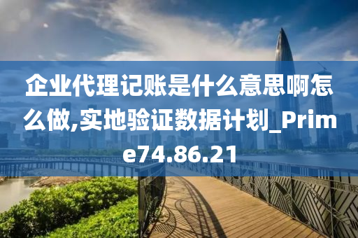 企业代理记账是什么意思啊怎么做,实地验证数据计划_Prime74.86.21