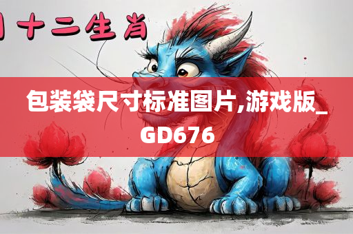 包装袋尺寸标准图片,游戏版_GD676