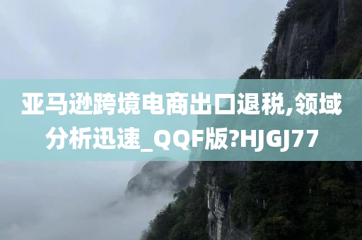 亚马逊跨境电商出口退税,领域分析迅速_QQF版?HJGJ77