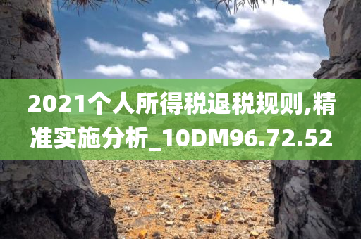 2021个人所得税退税规则,精准实施分析_10DM96.72.52