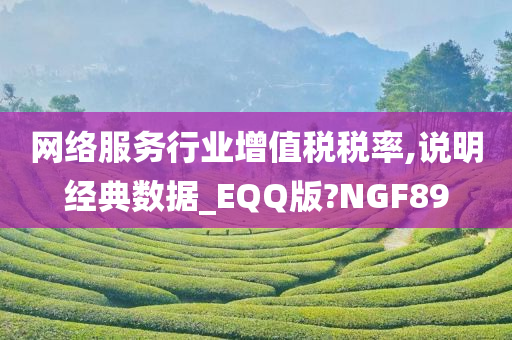 网络服务行业增值税税率,说明经典数据_EQQ版?NGF89