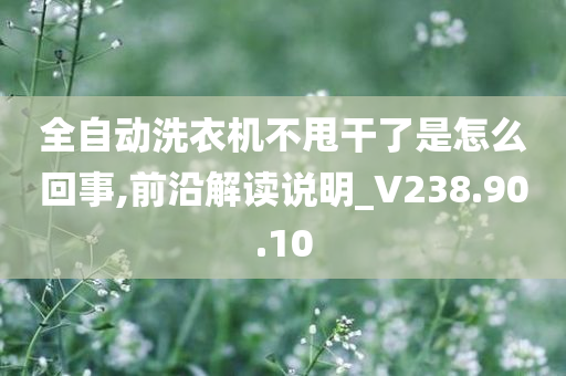 全自动洗衣机不甩干了是怎么回事,前沿解读说明_V238.90.10