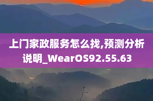 上门家政服务怎么找,预测分析说明_WearOS92.55.63