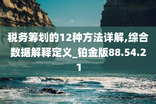 税务筹划的12种方法详解,综合数据解释定义_铂金版88.54.21