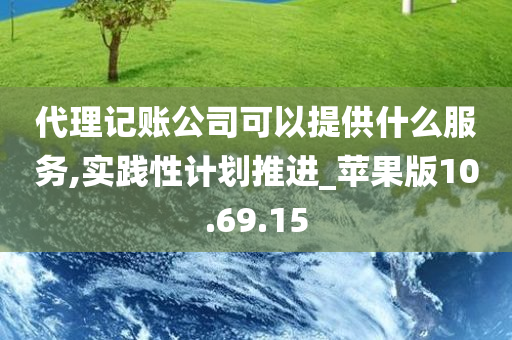 代理记账公司可以提供什么服务,实践性计划推进_苹果版10.69.15