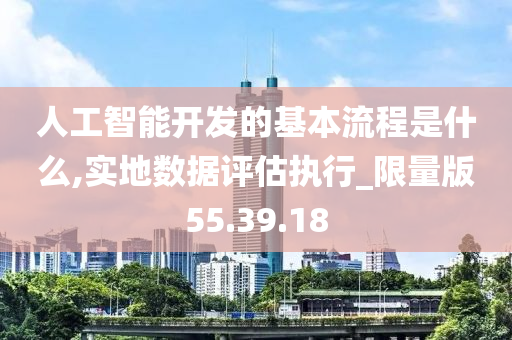 人工智能开发的基本流程是什么,实地数据评估执行_限量版55.39.18