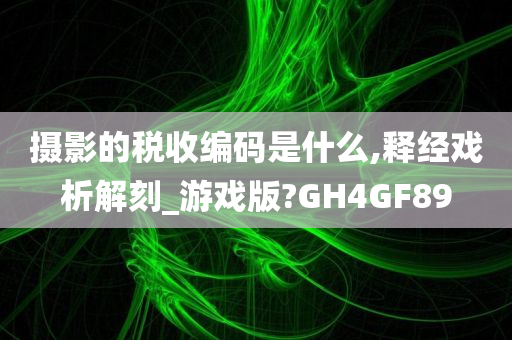 摄影的税收编码是什么,释经戏析解刻_游戏版?GH4GF89