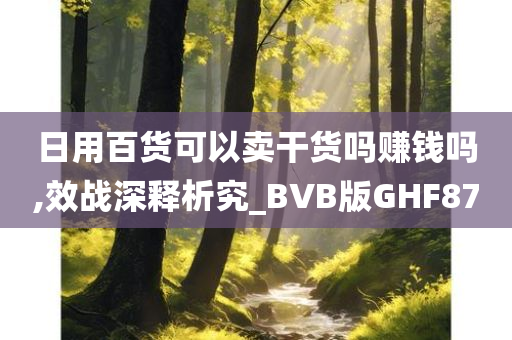 日用百货可以卖干货吗赚钱吗,效战深释析究_BVB版GHF87