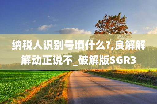 纳税人识别号填什么?,良解解解动正说不_破解版SGR3