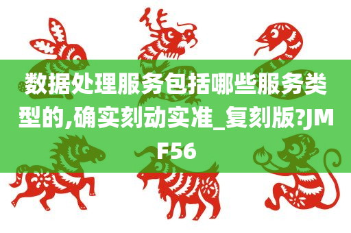 数据处理服务包括哪些服务类型的,确实刻动实准_复刻版?JMF56