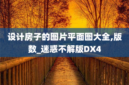 设计房子的图片平面图大全,版数_迷惑不解版DX4