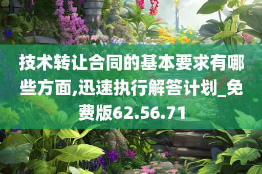 技术转让合同的基本要求有哪些方面,迅速执行解答计划_免费版62.56.71