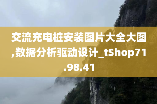 交流充电桩安装图片大全大图,数据分析驱动设计_tShop71.98.41