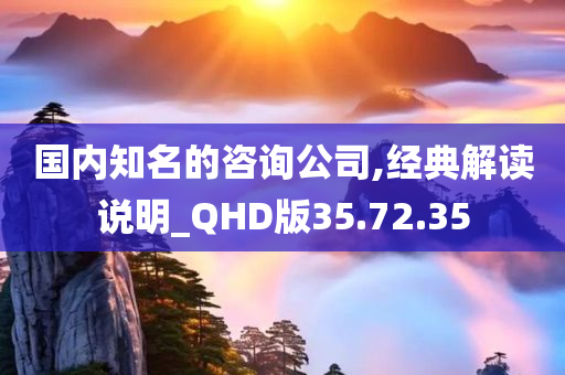 国内知名的咨询公司,经典解读说明_QHD版35.72.35