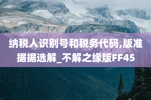 纳税人识别号和税务代码,版准据据选解_不解之缘版FF45