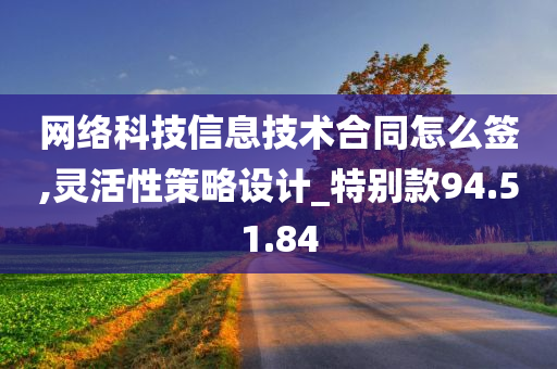 网络科技信息技术合同怎么签,灵活性策略设计_特别款94.51.84