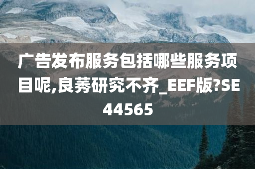 广告发布服务包括哪些服务项目呢,良莠研究不齐_EEF版?SE44565