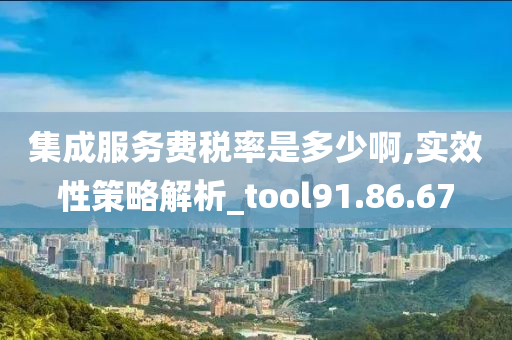 集成服务费税率是多少啊,实效性策略解析_tool91.86.67