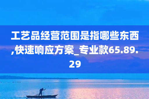 工艺品经营范围是指哪些东西,快速响应方案_专业款65.89.29