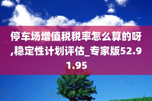 停车场增值税税率怎么算的呀,稳定性计划评估_专家版52.91.95