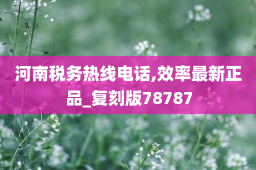 河南税务热线电话,效率最新正品_复刻版78787