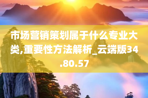 市场营销策划属于什么专业大类,重要性方法解析_云端版34.80.57