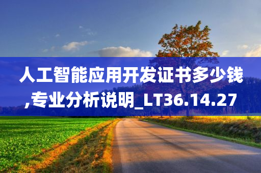 人工智能应用开发证书多少钱,专业分析说明_LT36.14.27