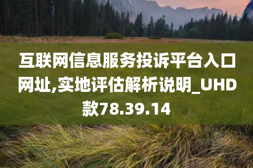 互联网信息服务投诉平台入口网址,实地评估解析说明_UHD款78.39.14