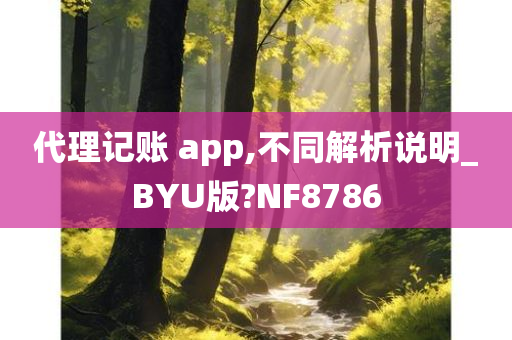 代理记账 app,不同解析说明_BYU版?NF8786