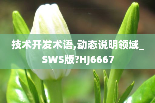 技术开发术语,动态说明领域_SWS版?HJ6667