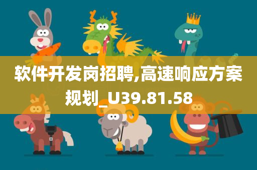 软件开发岗招聘,高速响应方案规划_U39.81.58