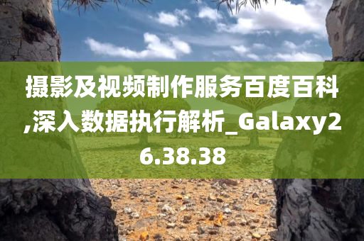 摄影及视频制作服务百度百科,深入数据执行解析_Galaxy26.38.38