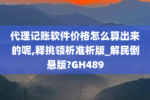 代理记账软件价格怎么算出来的呢,释挑领析准析版_解民倒悬版?GH489