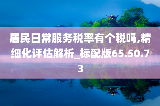 居民日常服务税率有个税吗,精细化评估解析_标配版65.50.73