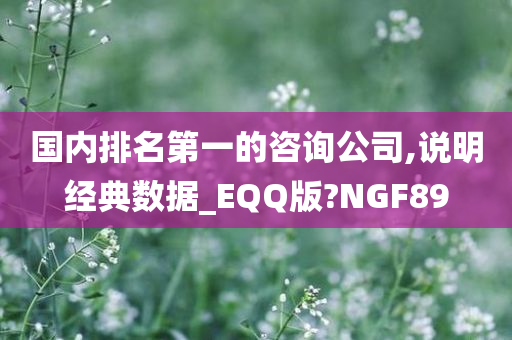 国内排名第一的咨询公司,说明经典数据_EQQ版?NGF89