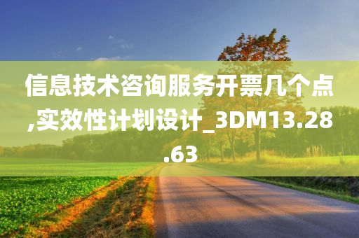 信息技术咨询服务开票几个点,实效性计划设计_3DM13.28.63