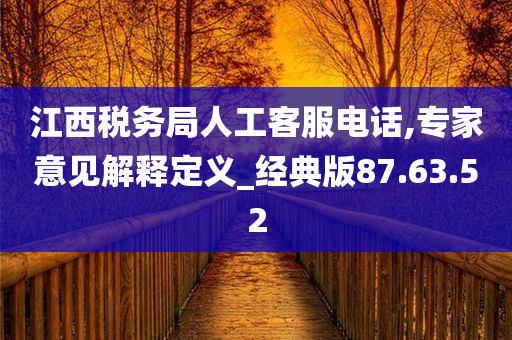 江西税务局人工客服电话,专家意见解释定义_经典版87.63.52