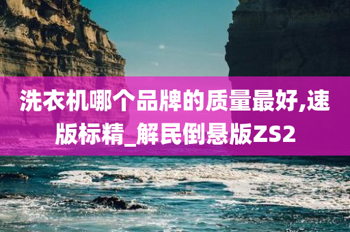 洗衣机哪个品牌的质量最好,速版标精_解民倒悬版ZS2