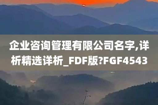 企业咨询管理有限公司名字,详析精选详析_FDF版?FGF4543