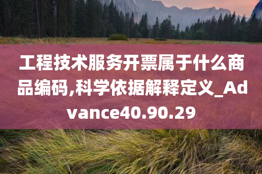 工程技术服务开票属于什么商品编码,科学依据解释定义_Advance40.90.29