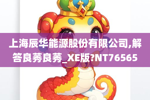 上海辰华能源股份有限公司,解答良莠良莠_XE版?NT76565